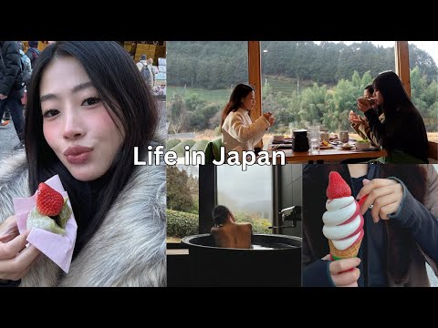 ผลสลากกินแบ่งรัฐบาล วันที่ 1 พย. 2567