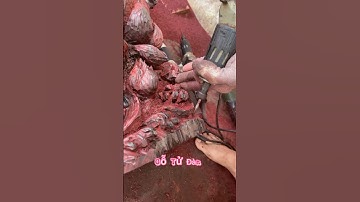 Gỗ trắc hay gỗ tử đàn # #woodcarving #sculpture