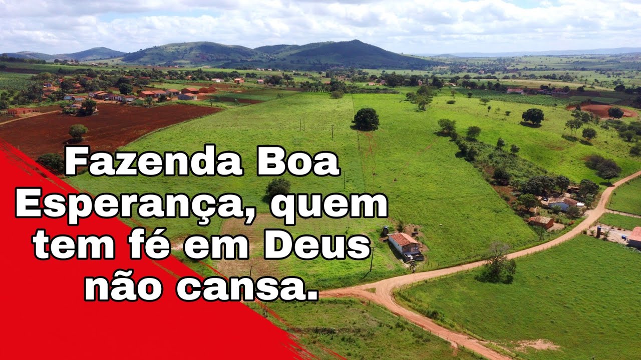 Fazenda Boa Esperança, Povoado Salgado, Povoado Olho D'água de Baixo #Drone #Nordeste #Alagoas