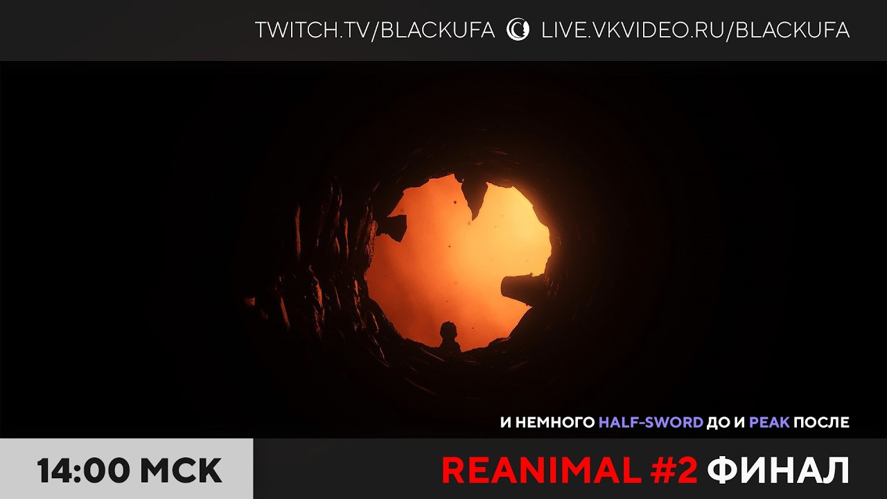 Half Sword/ Reanimal #2 ФИНАЛ / Peak