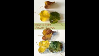 How to paint Autumn Leaves with Watercolors #shorts