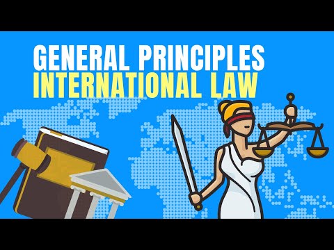 कानून के सामान्य सिद्धांत | अंतर्राष्ट्रीय कानून के सूत्रों की व्याख्या | लेक्स अनिमाता | हेशम एलराफीक