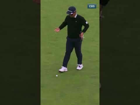 'Never seen anything quite like it'💨at Pebble