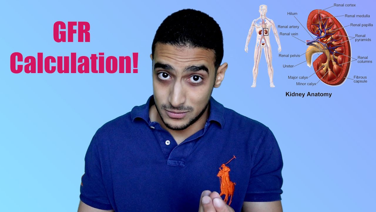 Glomerular filtration rate calculation - شرح بالعربي