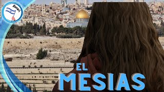 El dia que el Mesias llego a Israel y nadie lo reconocio