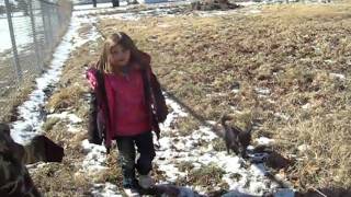 feburary 2011 031.AVI winter fun