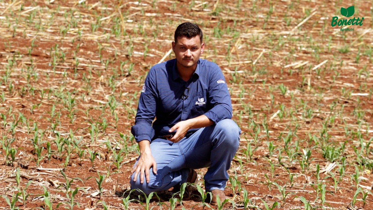 Dicas de regulagem da plantadeira