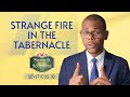 STRANGE FIRE IN THE TABERNACLE | Search the Scriptures | Leviticus 10 | #dclm #searchthescriptures