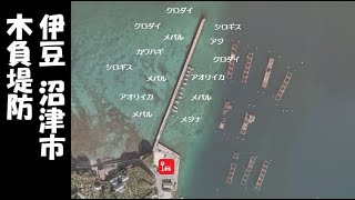 『木負堤防』の海釣りガイド【伊豆 沼津市】