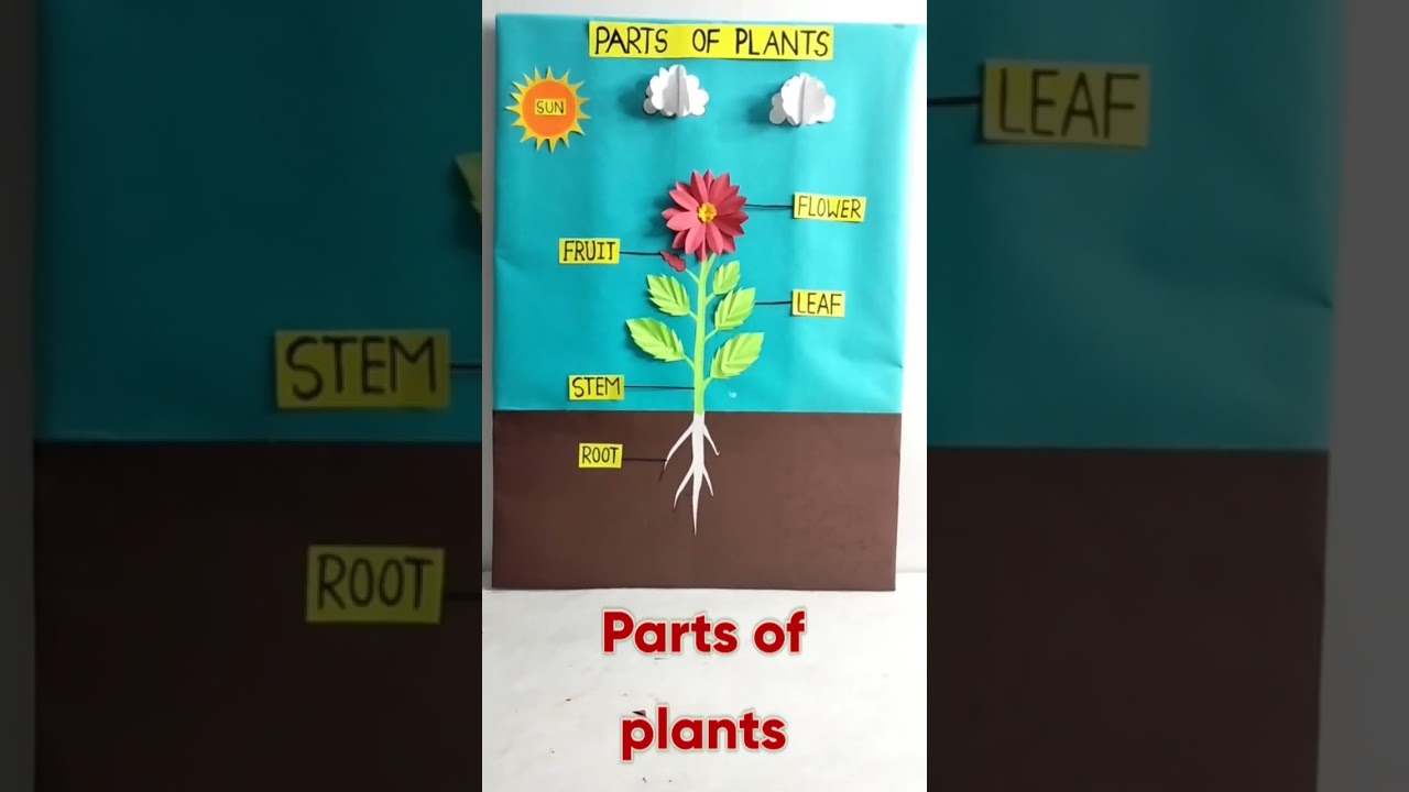 Parts of plants