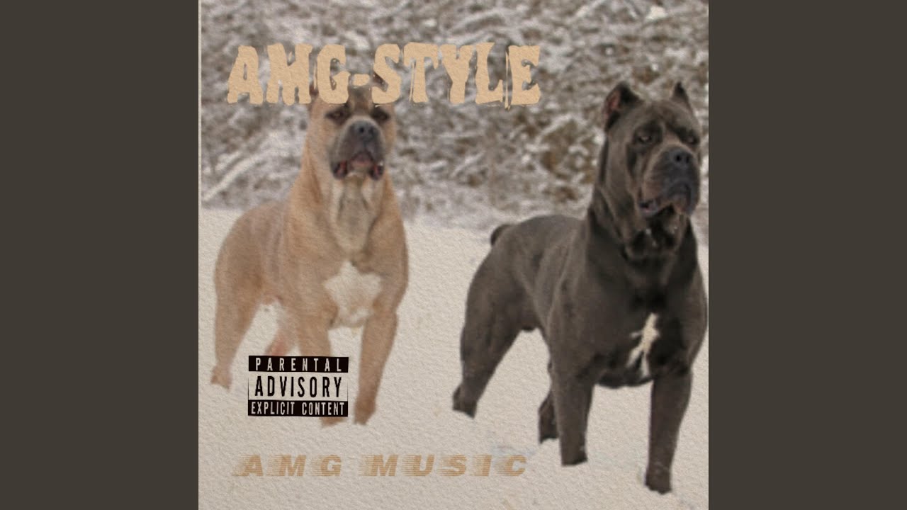 Amgstyle