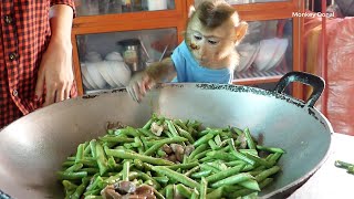 Cute Animals!! Monkey Donal Look Mom Cook Food And Waiting To Test Stir Fry Green Bean With Beef