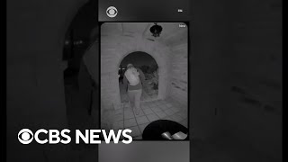  Of Subject In Disappearance Of Nancy Guthrie Savannah Guthries Mother Released shorts