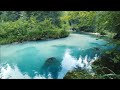 Copyright free nature videos you can use for your videos free stock footage