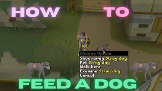 OSRS How to feed a dog