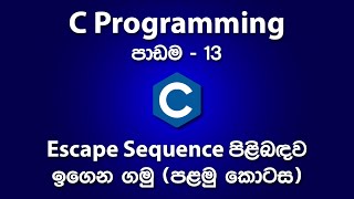 Using Escape Sequences in C Programming - Part 1/2 | පාඩම - 13