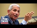 Fauci accused of profiting off pandemic with new book deal