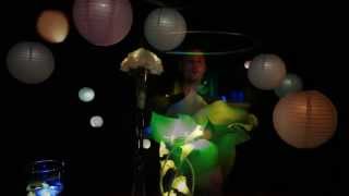Buttonlites (Button lights) - Small Battery LED lights for lighting paper lanterns and flowers