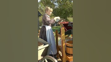 Making Cider at Venoge #shorts #cider #applecider