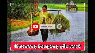 KEUMANG BUNGONG PIK NEUK FULL LIRIK VIDEO