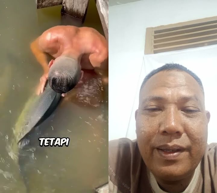 semua ikan mencintai pria ini#shorts