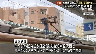 【速報】西武池袋線など運転見合わせ パンタグラフに飛来物(2022年7月8日)