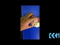 Video Image
