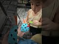 November 23, 2025: Playing Hedgehog Toy with Sancho