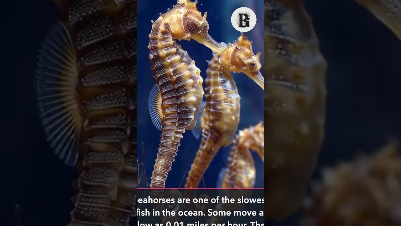 Удивительные факты о животных, о которых вы не знали