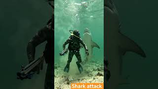shark attack #fishattackbig #fyp #diving #ontario #sea #fishattack #shark #viral #usa #fish