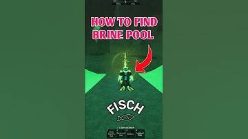 How To Find Brine Pool Location In Fisch | Roblox #fisch #roblox #brinepool