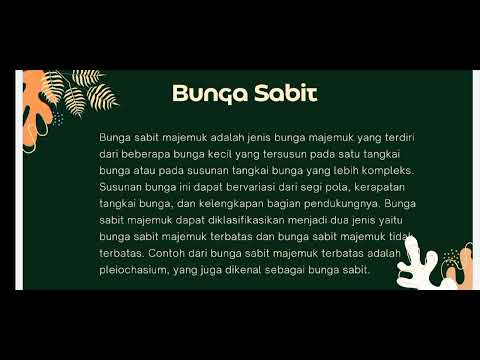 Edukasi Bunga Majemuk Kelompok 2 Pendidikan Biologi Universitas Indraprasta PGRI