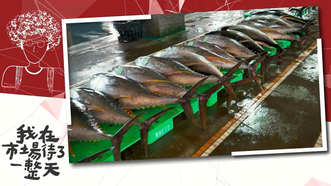 【我在市場待了一整天】 EP3南方澳漁市