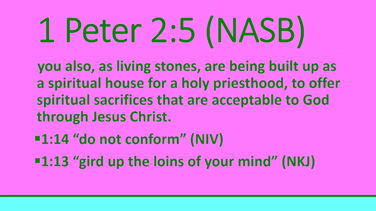 Living Stones - 1 Peter 2:4-8