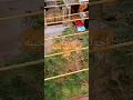 اهلا بأحلى اجواء شتويه  رجعت الشتوية