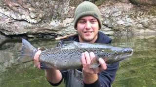 Outdoor Journal  Salmon in the Winooski