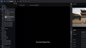 VAM2 Tutorial 4-Asset Manager-2-Asset Tree-7-Original files download  [Weiss AG]