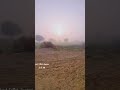 Nara desert Hunting Area Early morning