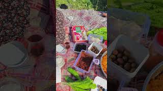 Mersin Mut Yörüğün kayısı bahçe kahvaltısı Erkenci kayısı mikado pricia makador domino flpioa rubisa