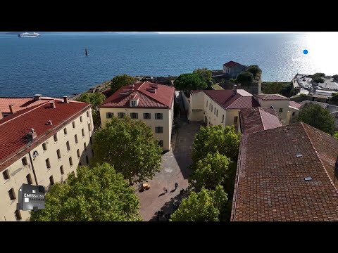 Image du reportage Emissione Speziale du 27 septembre 2023 : Les 80 ans de la libération de la Corse. (France 3 Corse ViaStella)