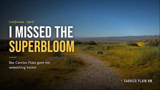 Carrizo Plain Superbloom: Expectations vs Reality (Watch before you go!)