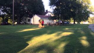 Redneck ATV wheelie fail