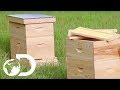 Beehive  how its made