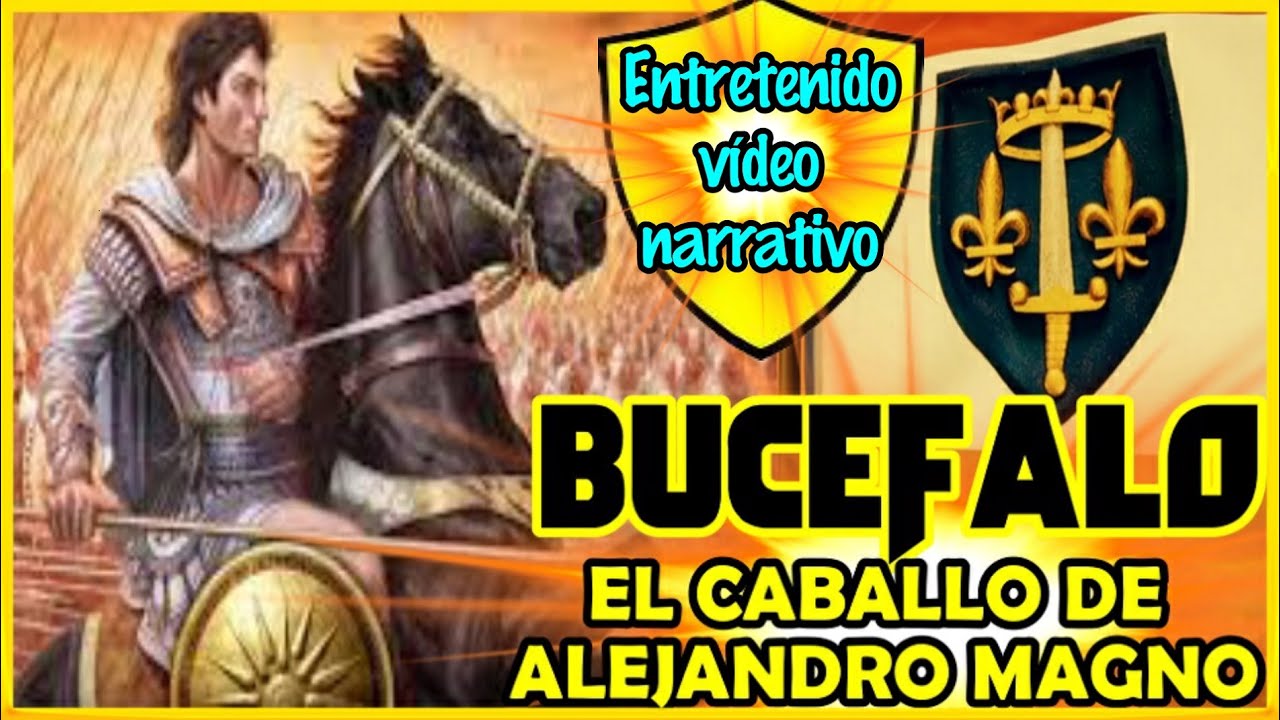 BUCEFALO. EL CABALLO DE ALEJANDRO MAGNO, EL CABALLO MÁS FAMOSO DE LA HISTORIA.🐴🐴🐴