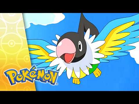 Strategy Tomorrow – Comedy Tonight! | POKÉMON FULL EPISODE 39 | Season 9