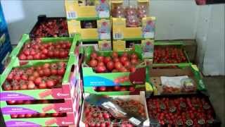 Gezondgemak Naar De Veiling