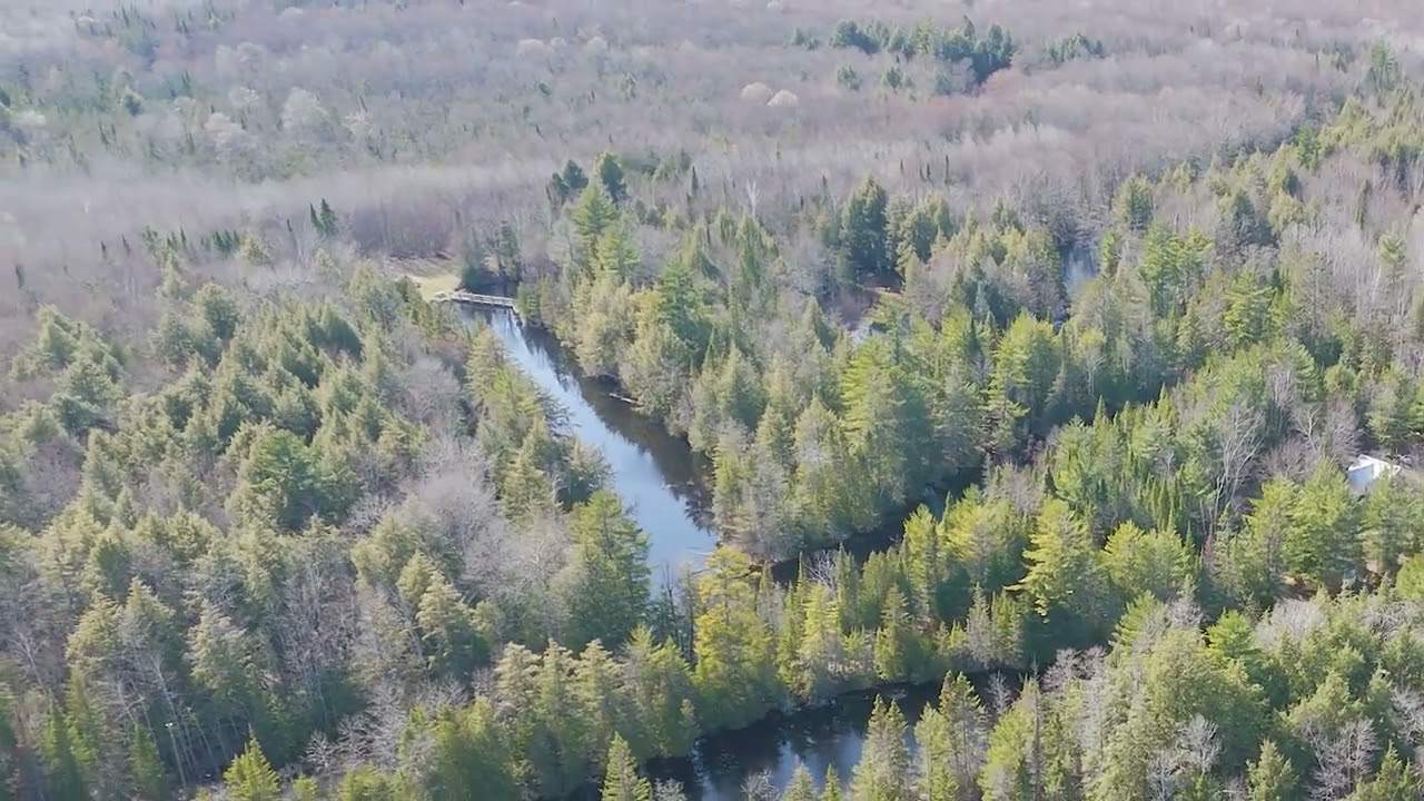 Drone Footage of the High Water Levels, along 10 Curves Road. Germfask, Michigan. DJI D-Log with Lut