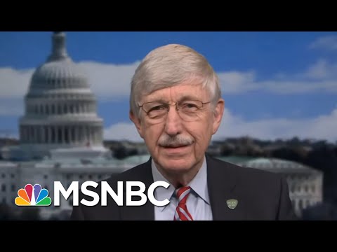 NIH Director On Florida: Stay Out Of Bars With Masks Off, What Are You Doing? | Katy Tur | MSNBC