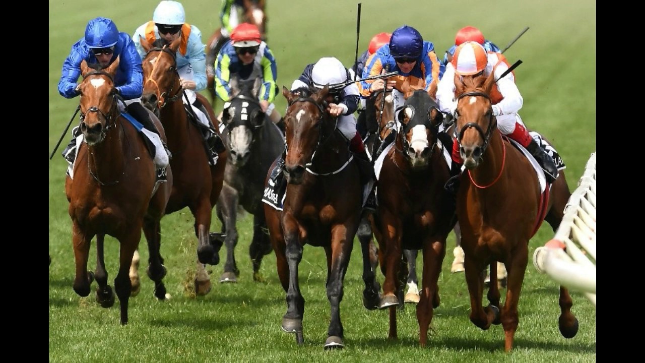 2019 SEVEN Horse Racing _ Spring Recap - YouTube