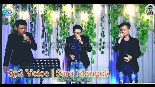 Andung Batak  || Erick Sihotang || Sora Mangoli || Cipt. Posther Sihotang || Cover || Sp2 Voice